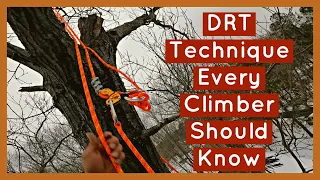 #shorts Passing DRT System Over Branch With Ponytail Technique