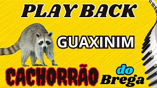 PLAY BACK (Guaxinim) Cachorrão do Brega