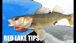 Tips for Early ICE WALLEYES on RED LAKE