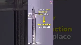 Displacement Reaction Experiment using Iron Nail | Experiment Shorts | Byjus 9 & 10 |