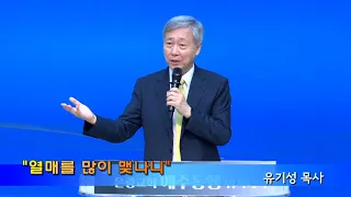 2023년 10월 15일 예수동행 위지데이_주일 1부영상예배(설교-유기성 목사)