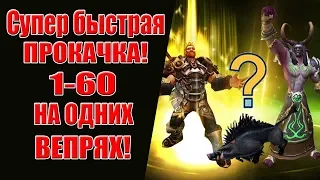 Супер быстрая прокачка 1-60 только на кабанах! МЕГО ГРИНД!