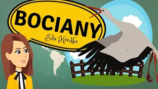 EduKredka – BOCIANY / Film edukacyjny #DLADZIECI #10