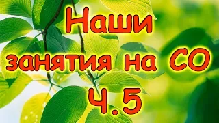 Семья Бровченко. Наши занятия на СО (часть 5). (03.16г.)