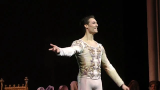 Hugo Marchand - Siegfried's solo (Act III) - Swan Lake/Le Lac des cygnes (Choreography : Noureev)