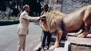 Ethiopia's History of Taming  Wild Lions #ethiopianhistory #Africanhistory #ethiopia