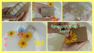 🟫🧽Laundry Soap & Porous Sponge Asmr🫧🤎