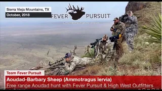 Long Range Aoudad hunt in West Texas