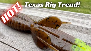 The Hot Texas Rig TREND! Don’t Miss Out!