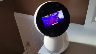 Just talking with my Jibo