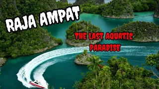 This is Raja Ampat, Breathtaking Dive In Raja Ampat West Papua Indonesia