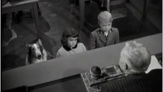 Lassie - Episode #207 - "Judgment Seat" - Season 6, Ep. 25 - 02/28/1960