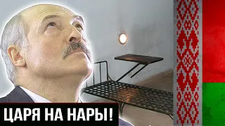 🔥 Судья Лукашенко «заметает» следы | Жыве Беларусь!