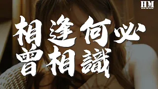 蒋志光 - 相逢何必曾相识『也许不必知道我是谁』【動態歌詞Lyrics】