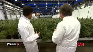 NAFMO Weed Wars Video Full Length