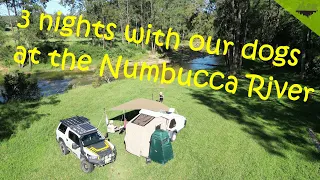 3 Nights camping with our dogs on the Numbucca river