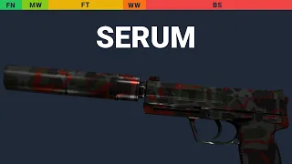 USP-S Serum - Skin Float And Wear Preview