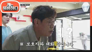 반려견이 아닌 손님도 경계하는 흑임자와 팥?! 흑임자의 우렁찬 짖음에 소통 불가!  [개는 훌륭하다/Dogs Are Incredible] | KBS 220509 방송