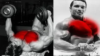 Top 5 Chest Exercises Arnold Used To Get A 57' Chest|Dr. Billy Alsbrook|Bodybuilding Motivation 2019