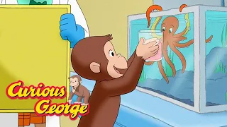 Curious George 🐵 George visits a marine rehabilitation lab 🐙 🐠 🐡 Kids Cartoon 🐵 Kids Movies