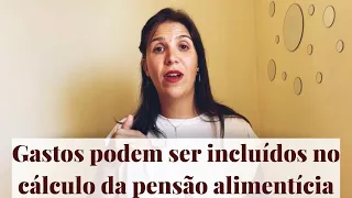 Quais gastos estão incluídos no cálculo da pensão alimentícia? | Natália Fachini