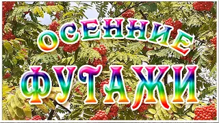 Осенние Видеофоны и натуральные Футажи для монтажа видео