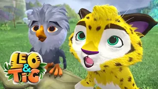 Leo and Tig 🦁 The Rise of the Dragon 🐯 Best episodes 🦁 Funny Family Good Animated Cartoon for Kids