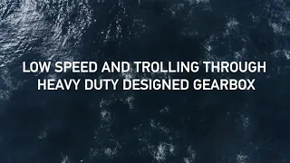 Heavy Duty Gearbox on OXE Diesel Outboard