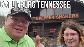 Salt and Pepper Shaker Museum Walkthrough Gatlinburg Tennessee / Must See /  Yankee in the South