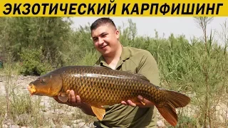 Незабываемая рыбалка на оз. Кинерет. Карпфишинг 2018