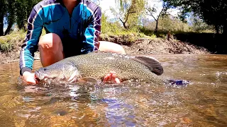 Murray Cod Fishing in a Crystal Clear River