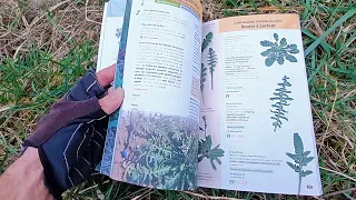 Le LIVRE ULTIME pour Reconnaitre les Plantes Sauvages Comestibles - Jardin de Survie #06