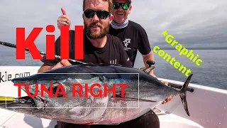 Warning Graphic! How to kill and care for your tuna catch with Ikijime technique