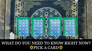 👑WHAT DO YOU NEED 222 KNOW RIGHT NOW? PICK A CARD✨