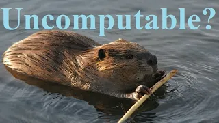 Uncomputable functions and numbers (Busy Beaver, Rayo, Chaitin Ω)