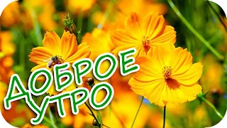 Доброе утро! ❤️Пусть солнышко ласково греет!❤️Красивая музыкальная открытка!❤️