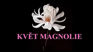 Květ Magnólie (Agatha Christie)