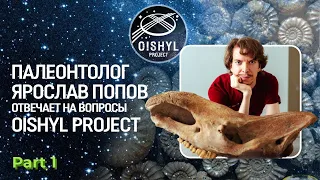 Ярослав Попов отвечает на вопросы Oishyl Project