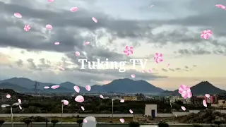 Sumbat / Tuking TV