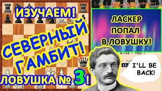 Ласкер попал в шахматную ловушку в дебюте "Северный гамбит"!