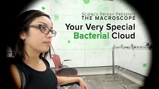 Your Very Special Bacterial Cloud