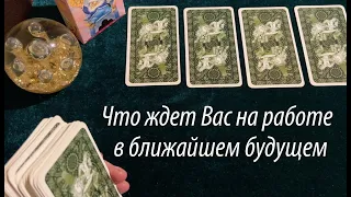 Погадаем на работу 🔔 Что ждет Вас на текущей работе в ближайшее время🖤Таро расклад🔮Тиана Таро