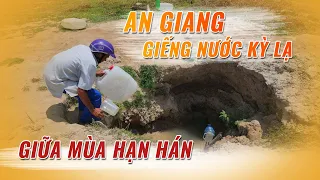 Kỳ lạ xuất hiện GIẾNG NƯỚC NGỌT "TRỜI BAN" giữa mùa hạn hán như thêu như đốt ở Miền Tây | Bùi Hồ TV