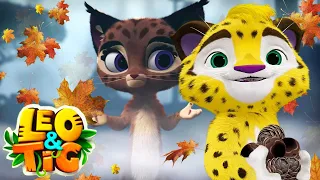 LEO and TIG 🦁 🐯 Autumn colors 🍂 Epsodes collection 💚 Moolt Kids Toons Happy Bear