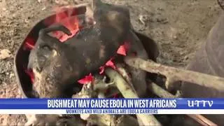 U-T TV Ebola Report: Bushmeat