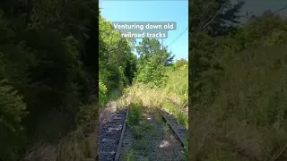 Venturing down old railroad tracks