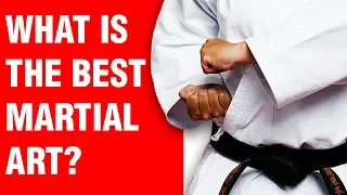 What is the Best Martial Art? | ART OF ONE DOJO