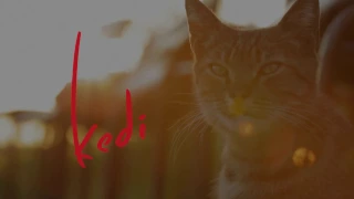 Meet Bengü, The Lover - KEDI