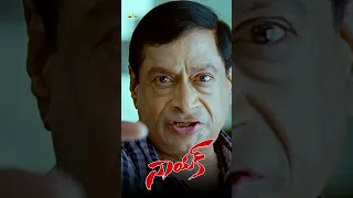 MS Narayana Intro Comedy | #Naayak | #shorts | #youtubeshorts | #SriBalajiVideo