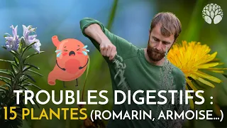 Comment soulager les lourdeurs digestives, reflux, les gaz, la constipation… avec les plantes